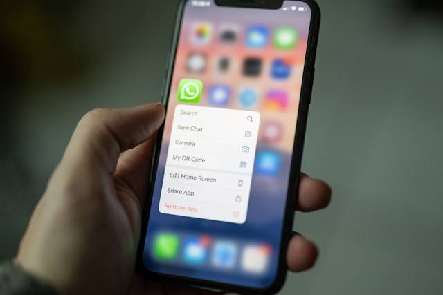 Cade afirma que o WhatsApp Pay está autorizado no Brasil e sem barreira ao Pix